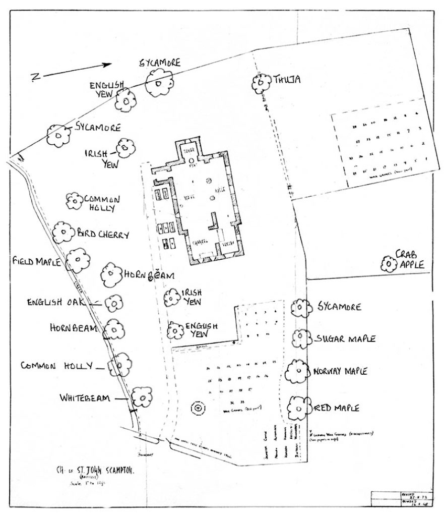 A map of the location of trees within Scampton churchyard